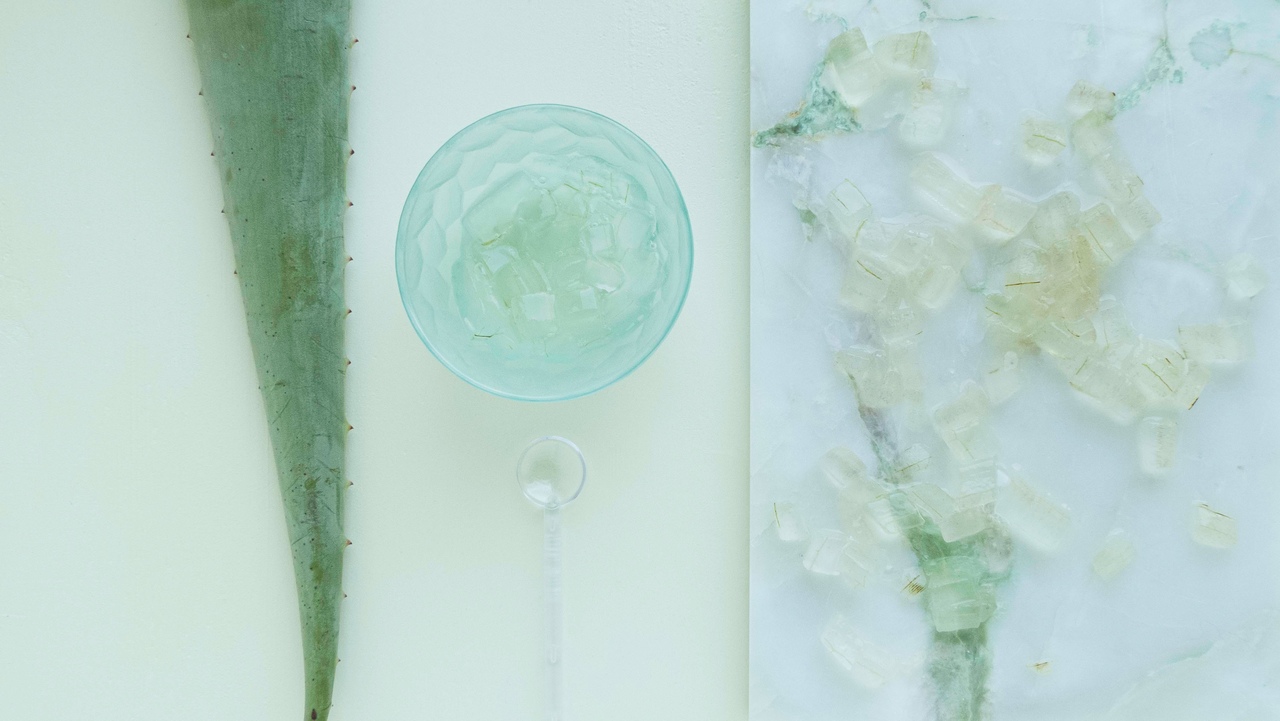 Aloe vera – a natural remedy for burns and scars